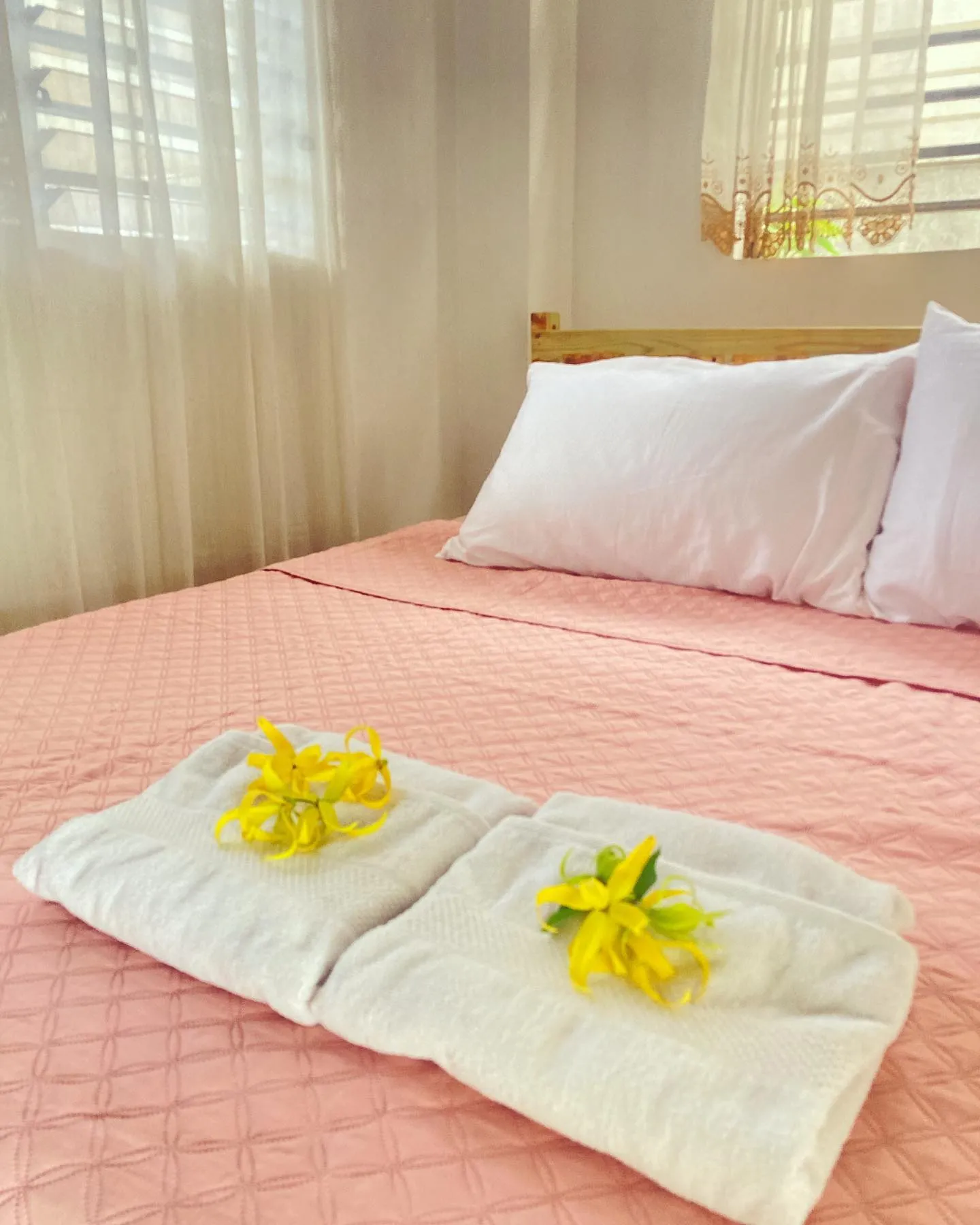 Balai lawaan jaro iloilo room