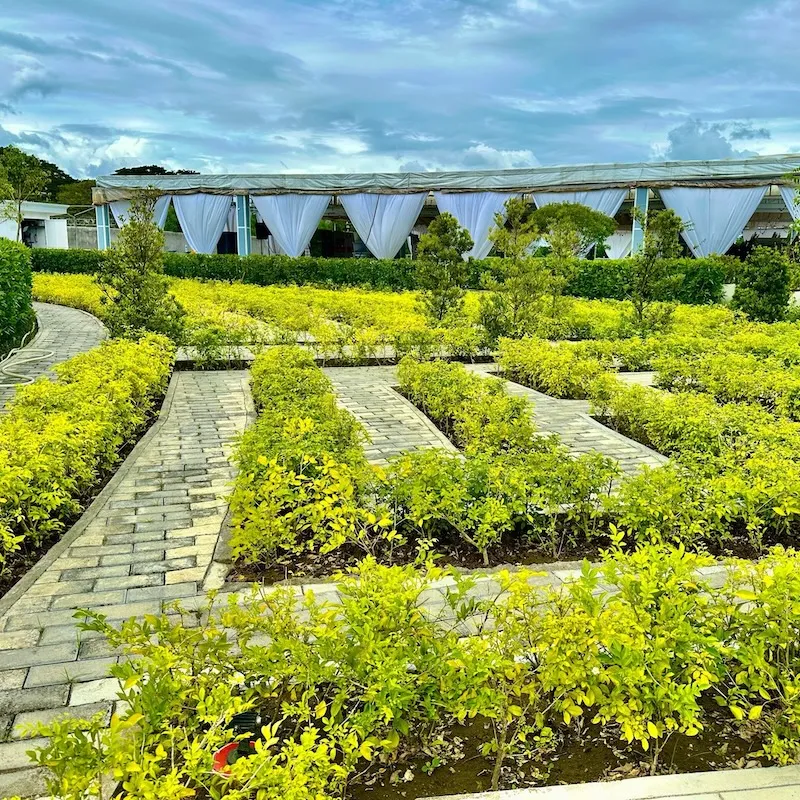 La maison du leganes iloilo