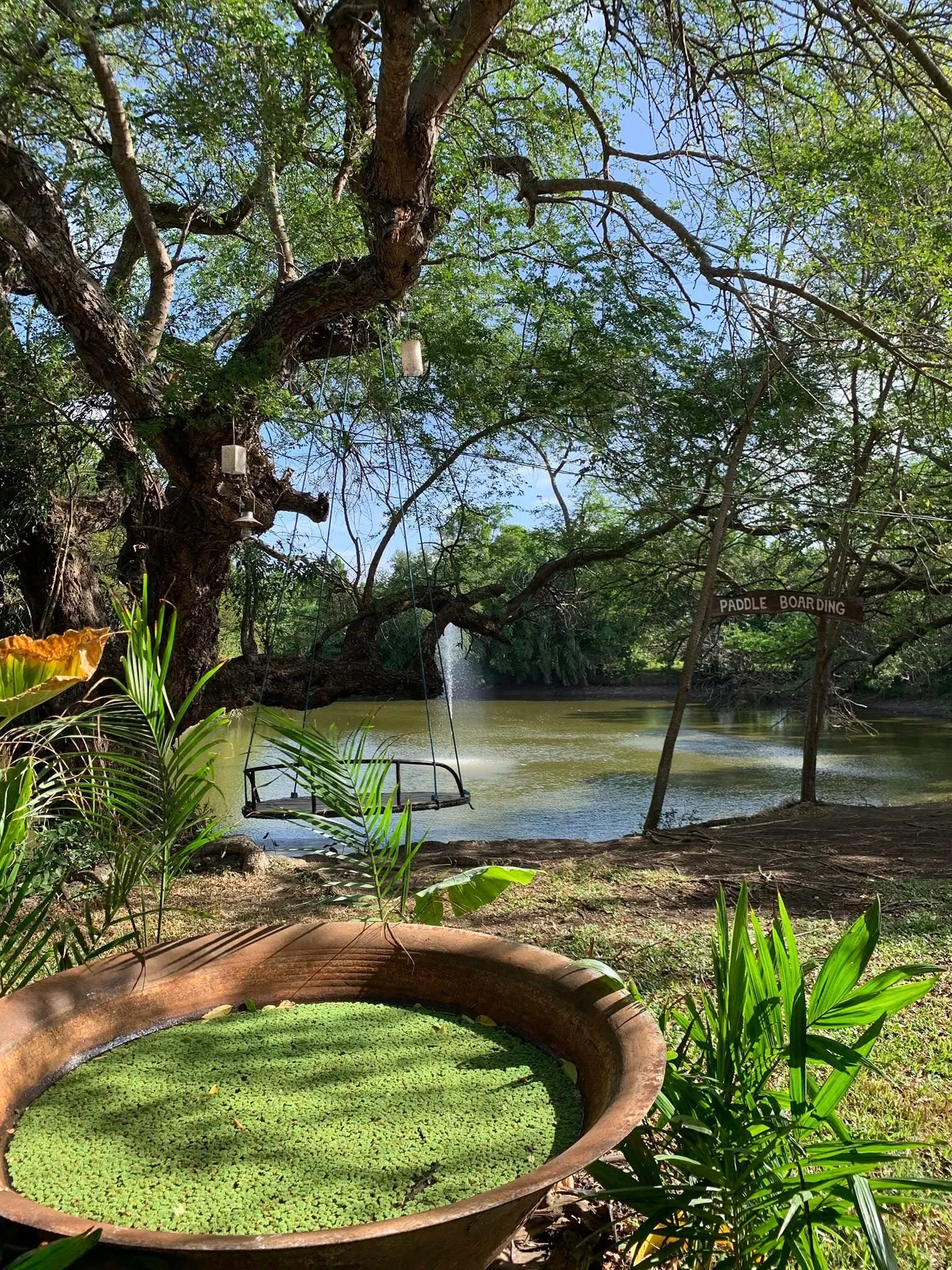 sol y mar eco farm iloilo lake