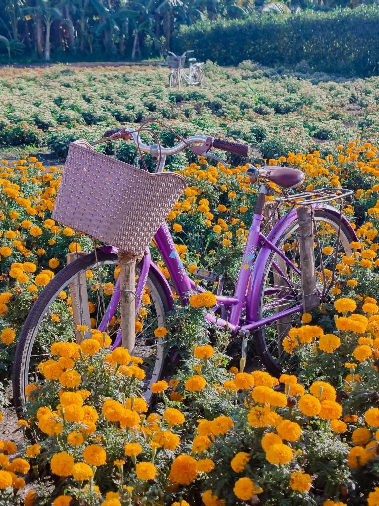 Ina's greenscape and flower farm barotac nuevo iloilo